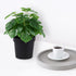LuckyGreenery Artificial Monstera, Realistic Fake Plants with Pots for Home and Office Decoration, 12in (H) x 5in (W)