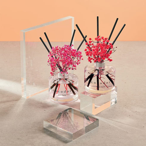 COCODOR Preserved Real Flower Reed Diffuser / Coco Peach / 6.7oz(200ml) / 1 Pack / Reed Diffuser Set, Oil Diffuser & Reed Diffuser Sticks, Home Decor & Office Decor, Fragrance and Gifts