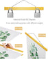 Magnetic Poster Hanger Frame 20 Inch Wide, Gold, Strong Magnet, Premium Wood and Quick Assembly, Wall Hanging Wooden Frame for Posters, Scroll, Picture, Print, 20x28 20x30 20x24