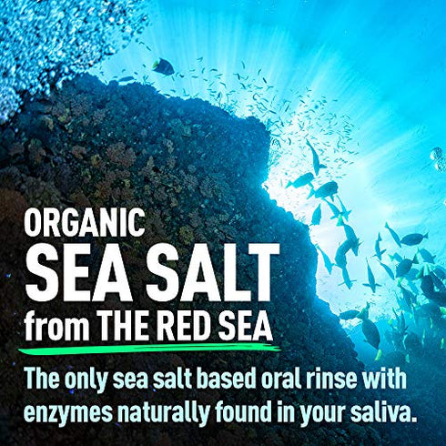 H2Ocean Healing Rinse Mouthwash- Great Tasting Sea Salt & Xylitol Mouth Wash for Fresh Breath & Dry Mouth - Alcohol & Fluoride Free - Lemon Ice 8oz