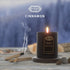 C.Fysik³s Scented Candles | Soy Candles | Candles for Home Scented | Aromatherapy Candle | Long Lasting Scented Candles | Cinnamon Candle | Candles Gifts for Women | 8 oz