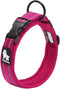 Dog Collar Reflective Premium Duraflex Buckle,High Grade Nylon Webbing No Choke Basic Collars Truelove TLC5011(Fushcia,XL)