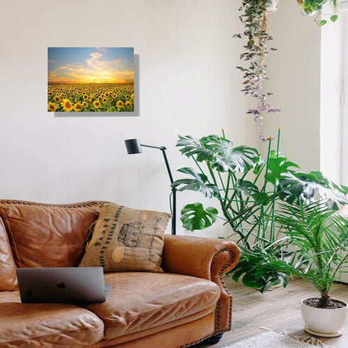 MSHC Sunflower Decor Framed Wall Art Yellow Flowers Painting Home Office Picture Hanging Kitchen Bedroom Living (YELLOW), 12 x 16 Inch