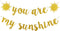 You Are My Sunshine Banner Gold Glitter, Sunshine Baby Shower Banner Decorations, You Are My Sunshine Banner for Kids Boys Girls Birthday Party Decorations Supplies