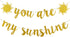 You Are My Sunshine Banner Gold Glitter, Sunshine Baby Shower Banner Decorations, You Are My Sunshine Banner for Kids Boys Girls Birthday Party Decorations Supplies