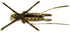 Solid Brass Lucky Cricket Rustic Fireplace Hearth Mantle Decor