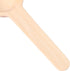 Mxfans 50x Kitchen Wooden Small Mini Spoons for Salt Condiment Coffee Honey