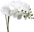 U'Artlines 38 Inch Artificial Butterfly Orchids Branches 4PCS Greenery Plants for Home Decoration(4pcs White)