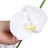 U'Artlines 38 Inch Artificial Butterfly Orchids Branches 4PCS Greenery Plants for Home Decoration(4pcs White)