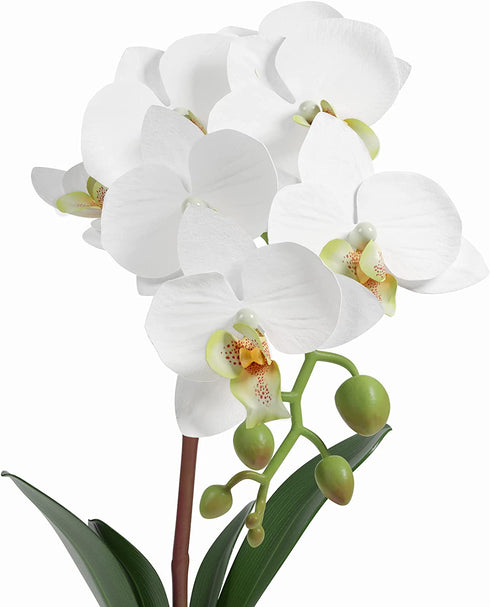 Barnyard Designs 14? Artificial Phalaenopsis Orchid, Indoor Faux Potted House Plant with Flowers for Home, Office, or Parlor Decor