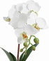 Barnyard Designs 14? Artificial Phalaenopsis Orchid, Indoor Faux Potted House Plant with Flowers for Home, Office, or Parlor Decor