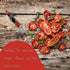 Amore Vegan Sun Dried Tomato Paste In A Tube - Non GMO Certified and Made In Italy (Pack of 1)