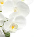 U'Artlines 38 Inch Artificial Butterfly Orchids Branches 4PCS Greenery Plants for Home Decoration(4pcs White)