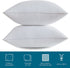 Qeils 18 x 18 Pillow Inserts Set of 2 White Throw Pillow Inserts with Soft Polyester Cover - Rectangle Square Interior Sofa Pillow Inserts Decorative Pillow Insert White Couch Pillow