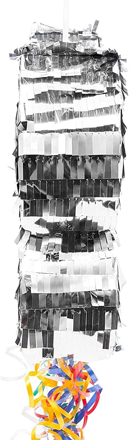 Dog Bone Pinata, Puppy Birthday Party Supplies, Woof (16.75 x 10 x 3 In)