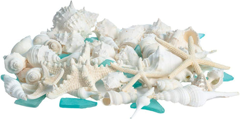 Nautical Crush Trading Sea Shells | Real Mixed Beach Seashells with Real Starfish & Caribbean Blue Sea Glass | White Decorative Seashell D©cor & Blue Seaglass Pieces | Seashell Wedding (1 Pack)