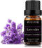Lavender Essential Oil Organic for Diffuser, Skin, Soap & Candle Making - 100% Pure, Undiluted, Natural Aromatherapy Fragrance Oils 10ML - Christmas Gift Lavender Oil Essential Oil
