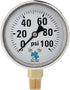 Zenport LPG100 Zen-Tek Glycerin Liquid Filled Pressure Gauge, 100 PSI