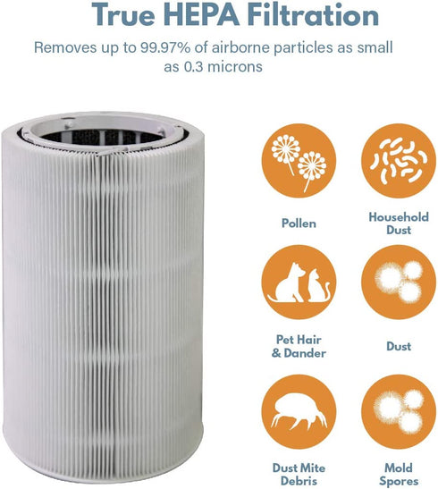 Replacement for Blueair Blue Pure 411 Particle and Carbon Filter