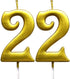 MAGJUCHE Gold 22nd Birthday Numeral Candle, Number 22 Cake Topper Candles Party Decoration for Girl Or Boy