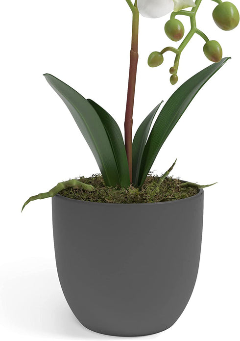 Barnyard Designs 14? Artificial Phalaenopsis Orchid, Indoor Faux Potted House Plant with Flowers for Home, Office, or Parlor Decor
