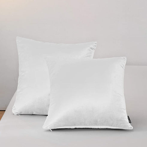 RBSC Home Pack of 2 Velvet Pillow Covers Decorative Square Pillowcase Soft Solid Cushion Case with Hidden Zipper for Sofa Bedroom 18 X 18 Inch