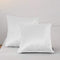 RBSC Home Pack of 2 Velvet Pillow Covers Decorative Square Pillowcase Soft Solid Cushion Case with Hidden Zipper for Sofa Bedroom 18 X 18 Inch