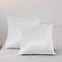 RBSC Home Pack of 2 Velvet Pillow Covers Decorative Square Pillowcase Soft Solid Cushion Case with Hidden Zipper for Sofa Bedroom 18 X 18 Inch