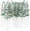 Miracliy 36 PCS Artificial Eucalyptus Stems with Frost, Faux Eucalyptus Leaves Greenery Stems for Vase Home Party Wedding Decoration€¦