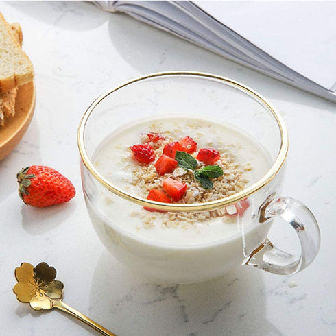 2pcs Glass Clear Coffee Cups Breakfast Milk Mugs Tea Espresso Coffee Cup Yogurt Bowl with Handle for Beverages
