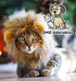Lion Mane Costume for Cat (Cat) - Halloween Special