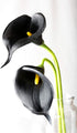 20Pcs Calla Lily Fake Black Flowers Wedding Bouquet Artificial Real Touch Latex Flowers Home Wedding Party Decor (Black)