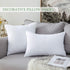 MIULEE Throw Pillow Insert Hypoallergenic Premium Pillow Stuffer Sham Square for Decorative Cushion Bed Couch Sofa 24x24 Inch