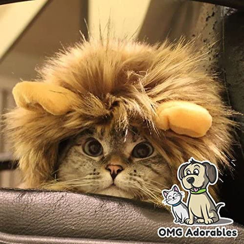 Lion Mane Costume for Cat (Cat) - Halloween Special