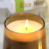 LA JOLIE MUSE Spicy Amber Scented Candle, Christmas Candle, Holiday Candle Gifts, Natural Soy Candle for Home Scented, 75 Hours Long Burning, Glass Jar Candle