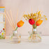 Cocod'or COCODOR Tulip & Preserved Real Flower Reed Diffuser/Floral Bouquet / 6.7oz(200ml) / 1 Pack/Reed Diffuser Set, Oil Diffuser & Reed Diffuser Sticks, Home Decor & Office