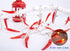 Dreamworth Red Chili String Lights,33ft 80 LED Chili String Lights Battery Operated Fairy Lights for Wedding, Chinese New Year,Spring Festival,Party Decoration,Christmas