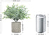 ODOM Artificial Plants, 3Pcs Small Fake Plants for Bedroom Aesthetic, Faux Eucalyptus Plants for Office Desk Bathroom Farmhouse Home Decorations