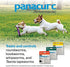 Panacur C Canine Dewormer (Fenbendazole), 1 Gram, Yellow, 3 Count (Pack of 1)
