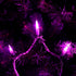 100 LED Purple String Lights, UL Certified Commercial Grade 35 Ft White Wire Always On Light String, for Indoor Outdoor Party, Garden.