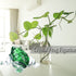 H&D HYALINE & DORA Small Crystal Frog Figurine Collection Paperweight Table Centerpiece Ornament(Green)