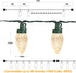 Brizled C9 Christmas Lights, 16ft 25 LED Faceted C9 Warm White Christmas Lights, Connectable Indoor Outdoor Xmas String Lights, 120V UL Certified for Tree, Yard, Garden, Porch, Party & Holiday Decor