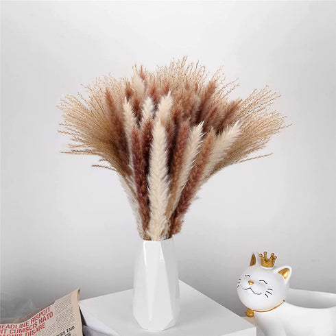 ManYmbyan Natural Dried Pampas Grass 65pcs 15pcs White&15pcs Brown&35pcs Reed Grass Plumes Decor Flower Arrangement and Vase Fillings