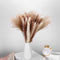 ManYmbyan Natural Dried Pampas Grass 65pcs 15pcs White&15pcs Brown&35pcs Reed Grass Plumes Decor Flower Arrangement and Vase Fillings