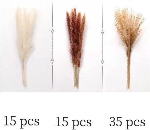 ManYmbyan Natural Dried Pampas Grass 65pcs 15pcs White&15pcs Brown&35pcs Reed Grass Plumes Decor Flower Arrangement and Vase Fillings