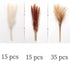 ManYmbyan Natural Dried Pampas Grass 65pcs 15pcs White&15pcs Brown&35pcs Reed Grass Plumes Decor Flower Arrangement and Vase Fillings