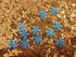 1200Pcs Snowflake Confetti Blue & White Glitter- Winter Wonderland Decor, Blue Snowflake Confetti, Snowflake Party Favors for Kids, Winter Baby Shower Decorations, Christmas Confetti Decor