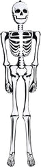 ArtCreativity Halloween Skeleton Inflate Decoration - 6ft Tall - Cute and Creepy Home Decor - for Indoor and Outdoor Use - Halloween Party Supplies, Contest Prize for Kids