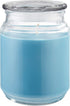 CANDLE-LITE Ocean Blue Mist Candle, 18 oz