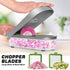 LHS Vegetable Chopper, Pro Onion Chopper Slicer Dicer Cutter - Cheese & Veggie Chopper - Food Chopper Dicer with 5 Blades (Gray?